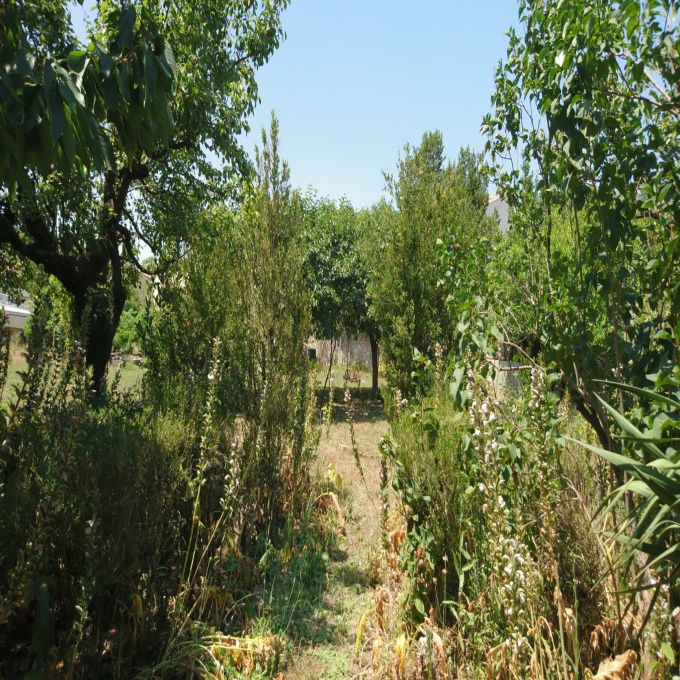 Offres de vente Terrain Saturargues (34400)